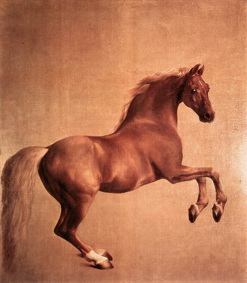 Whistlejacket r